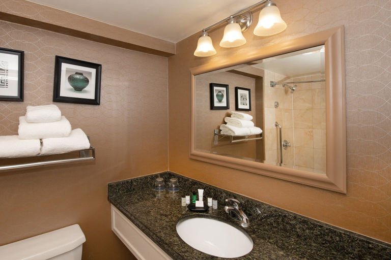 Bathroom 4, Sheraton Hartford South Hotel, Hartford