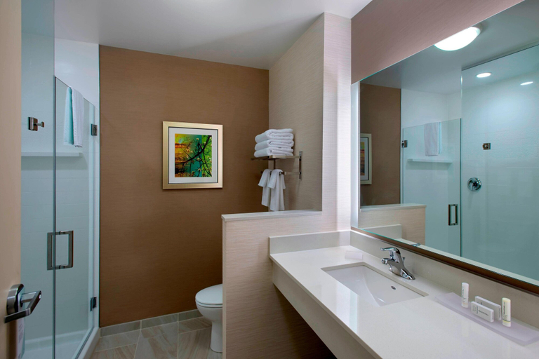 Bathroom 5, Fairfield Inn and Suites by Marriott Syracuse Carrier Circle, Onondaga