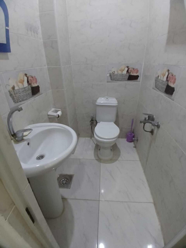 Bathroom, Gamal Abd El-Nasir, Al-Ahram