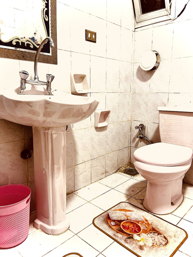 Bathroom 4, Mohandessin, Al-'Ajuzah