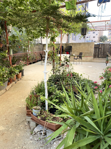 Others 5, Madaba, Madaba