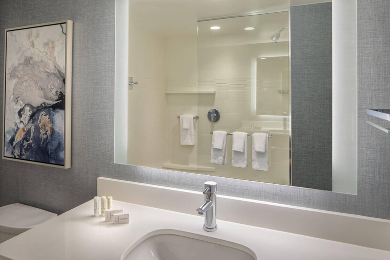 Bathroom 5, Residence Inn Stamford Downtown, Fairfield