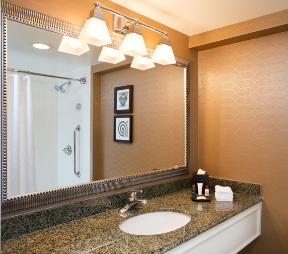 Bathroom 4, Sheraton Hartford South Hotel, Hartford