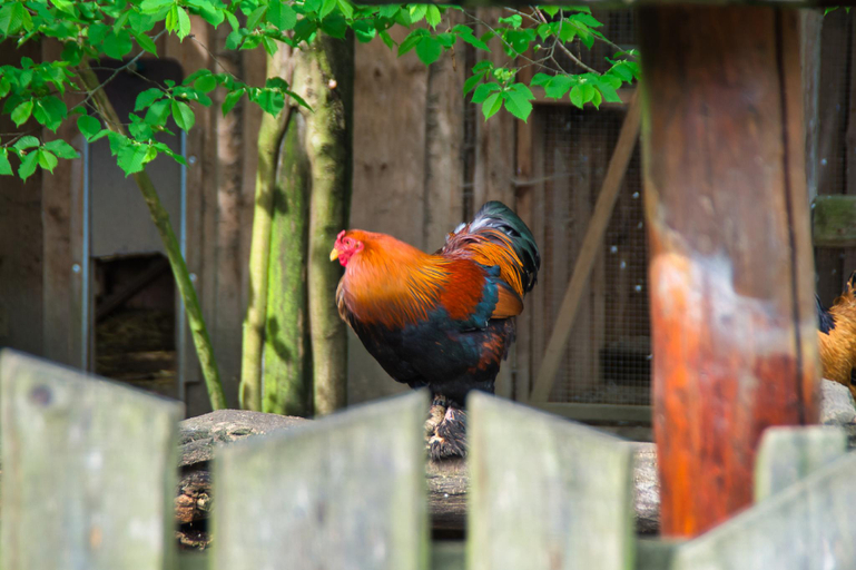 Others 5, Berggasthof Butterberg, Bautzen