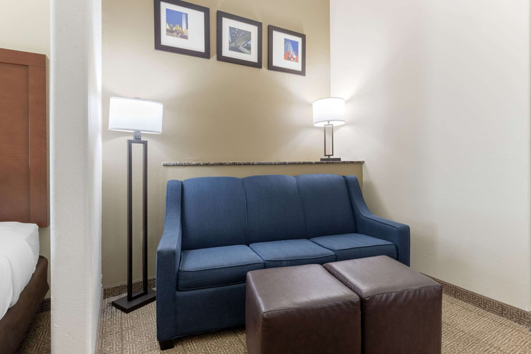 Others 5, Comfort Suites West Dallas - Cockrell Hill, Dallas