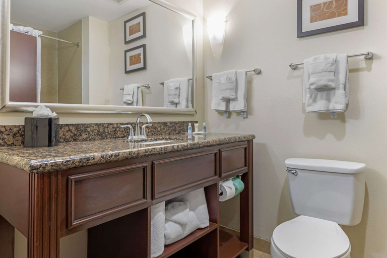 Bathroom 4, Comfort Suites West Dallas - Cockrell Hill, Dallas
