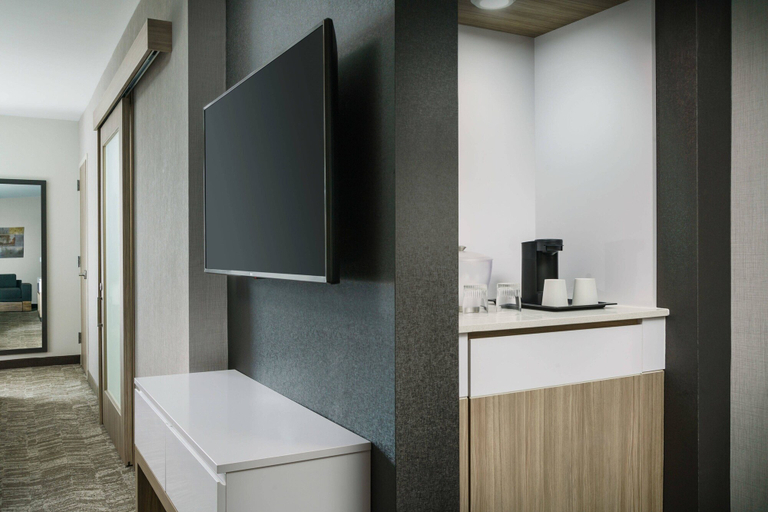 Others 5, SpringHill Suites by Marriott Philadelphia West Chester/Exton, Chester