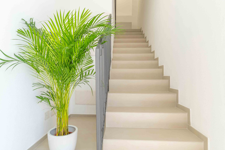 Others 5, Nuova - Luxury Rooms & Apartment, Olbia-Tempio
