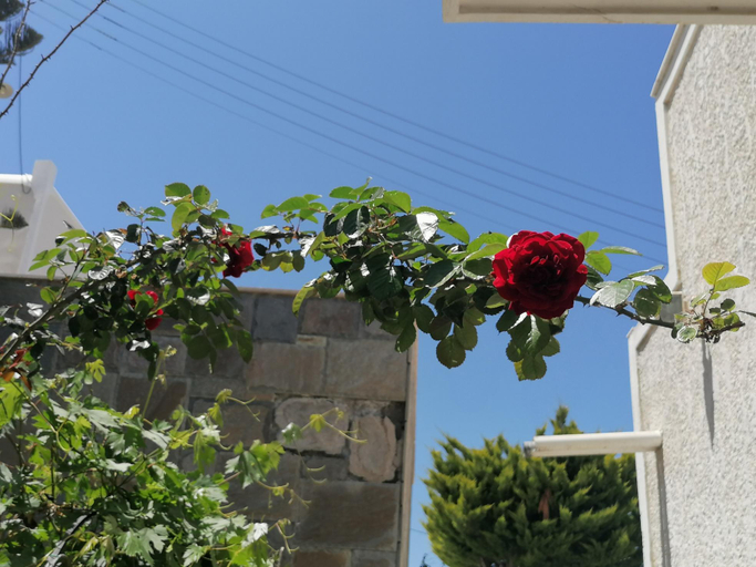 Others 4, Almira Inn, South Aegean