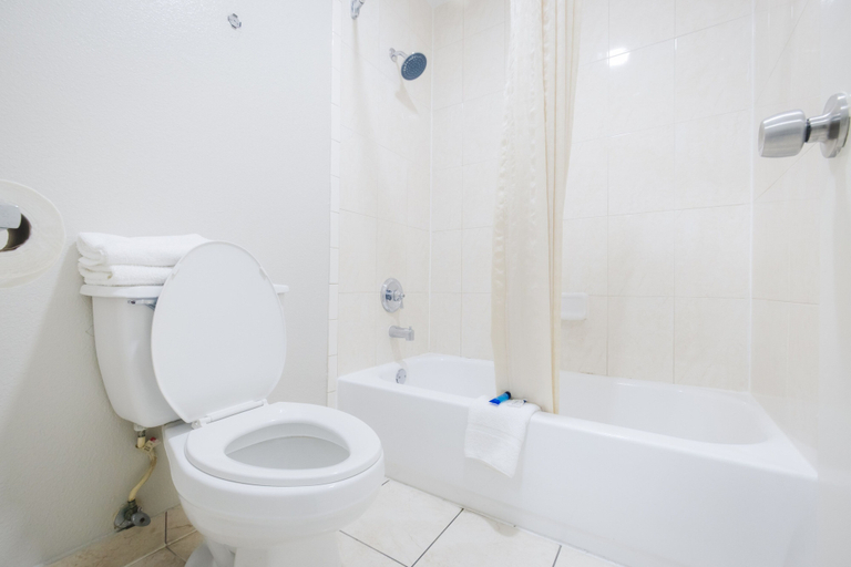 Bathroom 4, Scottish Inn & Suites, Wharton