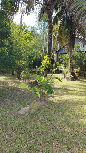 Others 5, Domaine des Citronniers, Analanjirofo