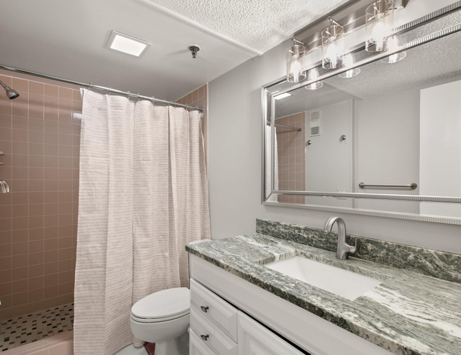 Bathroom 4, Golden Shores 210, Pinellas