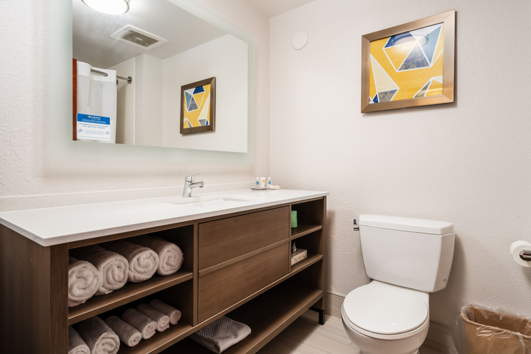 Bathroom 4, Comfort Suites Columbia Northeast - Fort Jackson, Richland