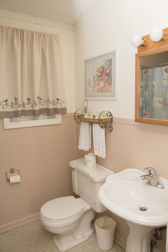 Bathroom 4, The Governor's Rock Motel DF ROCKLLC, Bennington