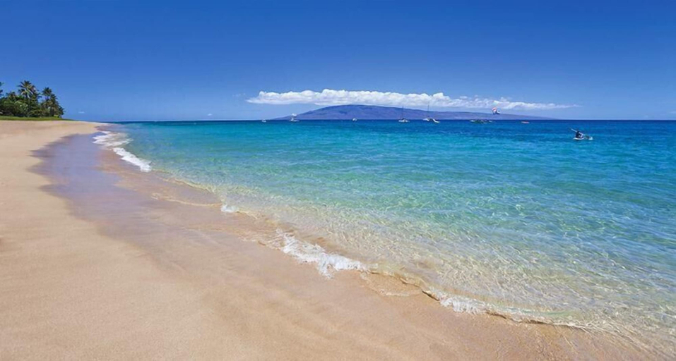 Others 5, Luxury Oceanview Punaluu Condo, Honolulu