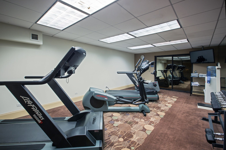 Others 3, Holiday Inn Express ROLLING MDWS-SCHAUMBURG AREA by IHG, Cook