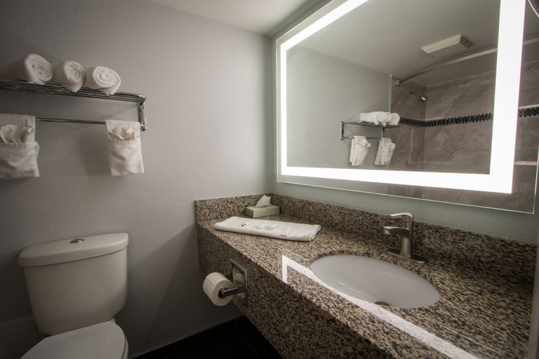 Bathroom 4, Envi Boutique Hotel, Henderson