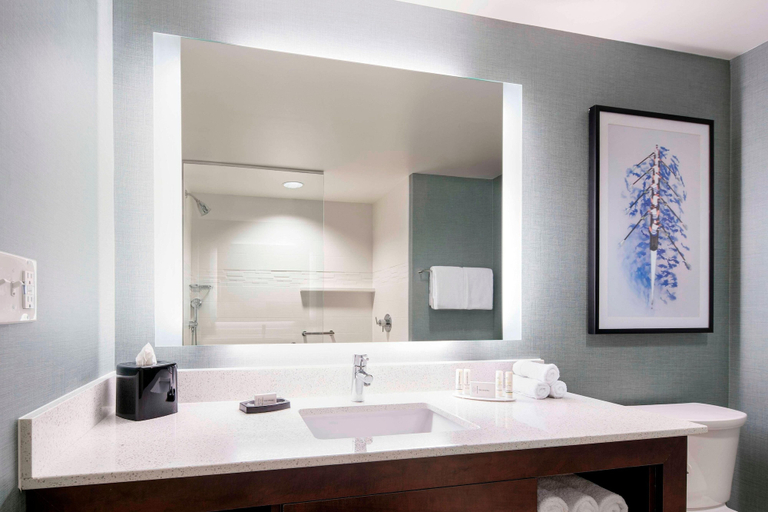 Bathroom 5, Residence Inn by Marriott Boston Watertown, Middlesex