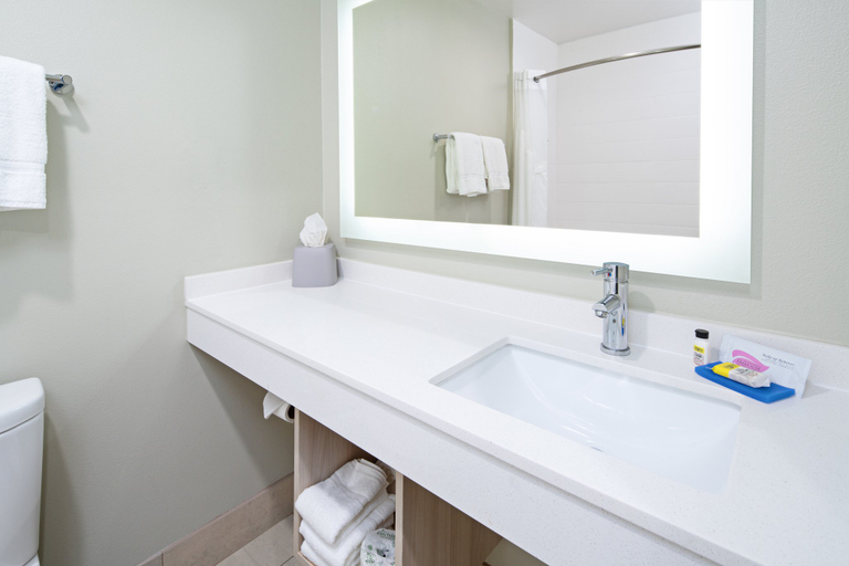 Bathroom 4, Holiday Inn Express & Suites WATSONVILLE by IHG, Santa Cruz