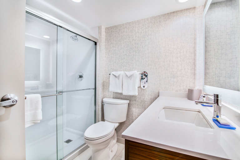 Bathroom 3, Holiday Inn Express & Suites LANGLEY by IHG, Greater Vancouver