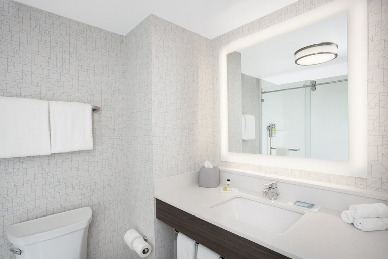 Bathroom 4, Holiday Inn Express & Suites DOWNTOWN OTTAWA EAST by IHG, Ottawa