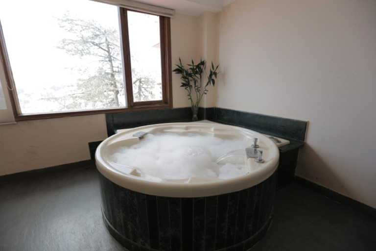 Bathroom 4, Hotel Willow Banks, Mall Road Shimla, Shimla
