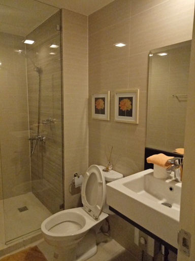 Bathroom 4, Venice Mall Area McKinley Hill Taguig BGC, Taguig