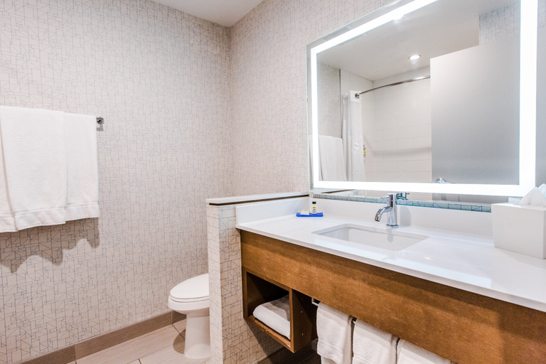 Bathroom 5, Holiday Inn Express & Suites WEST EDMONTON-MALL AREA by IHG, Division No. 11