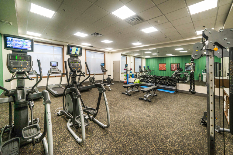 Others 3, Holiday Inn Express & Suites WEST EDMONTON-MALL AREA by IHG, Division No. 11