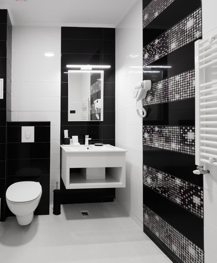 Bathroom 4, Hotel Javu, Navodari