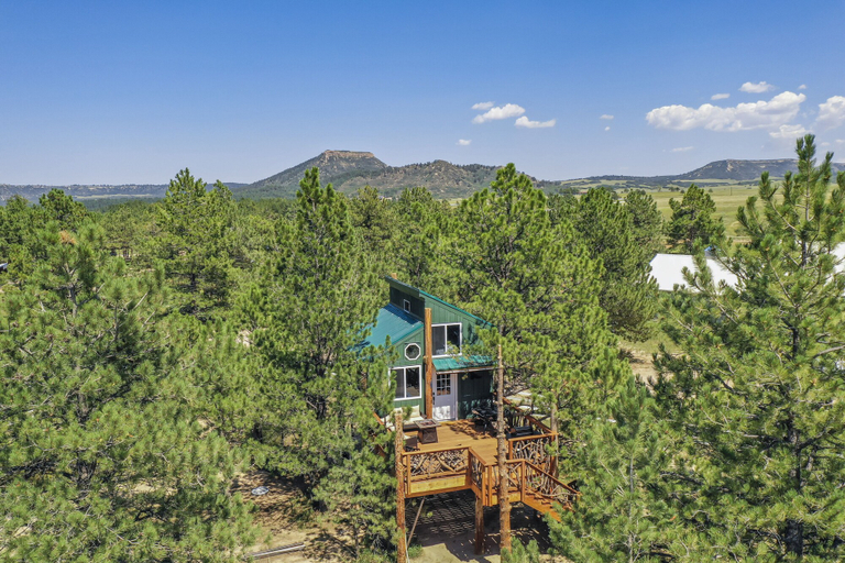 Exterior & Views 2, Tree Eagles Nest, Douglas