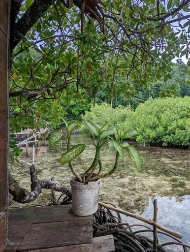 Exterior & Views 5, Korbekwan bungalow, Raja Ampat