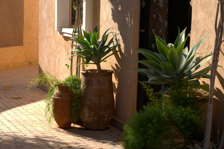 Exterior & Views 2, Dar Ajgal, Tiznit