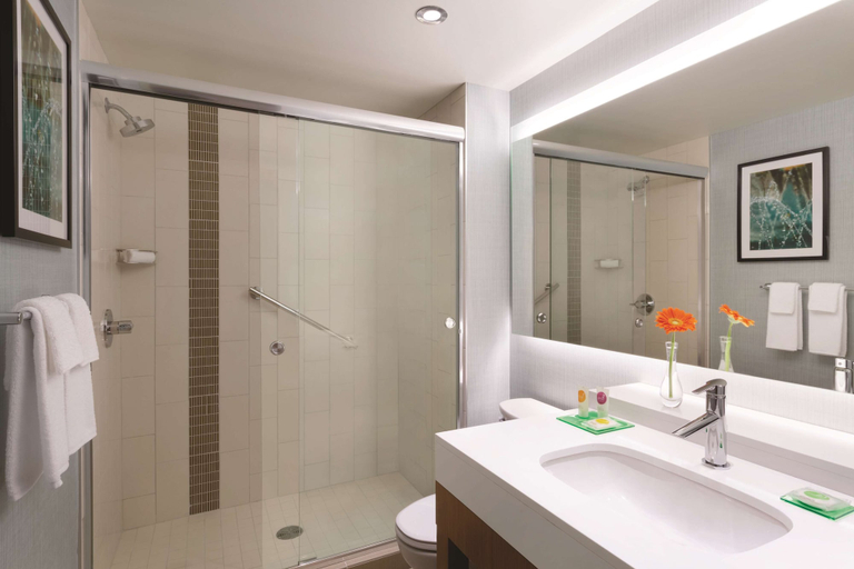Bathroom 4, Hyatt Place Niagara Falls, Niagara