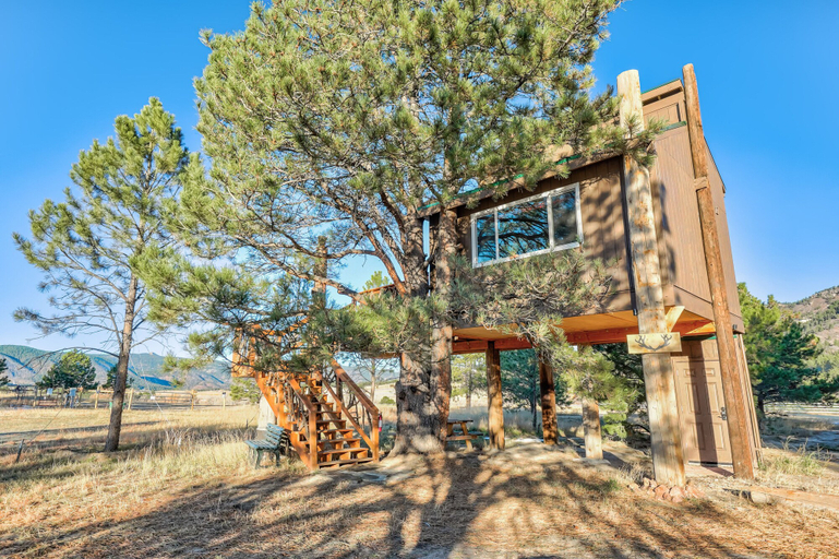 Exterior & Views 2, Tree Deer Blind, Douglas