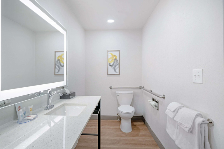 Bathroom 4, Comfort Suites Idaho Falls, Bonneville