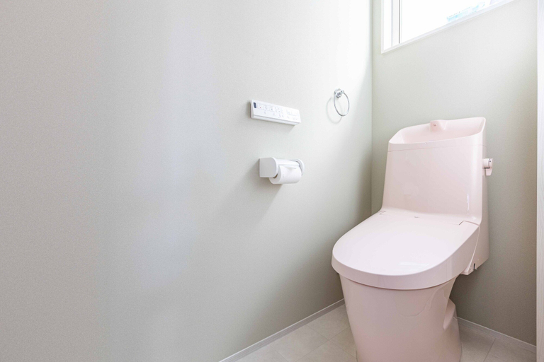 Bathroom 4, Nanki shirahama Venus, Shirahama
