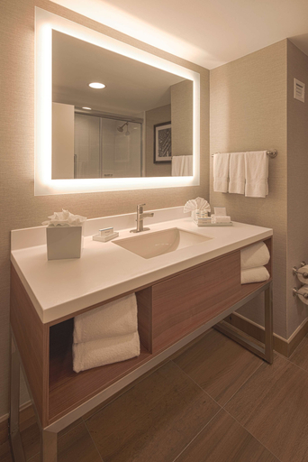 Bathroom 5, Hampton Inn by Hilton Monterrey/Galerías-Obispado, Monterrey