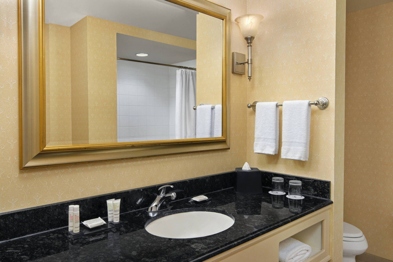 Bathroom 4, Spartanburg Marriott, Spartanburg