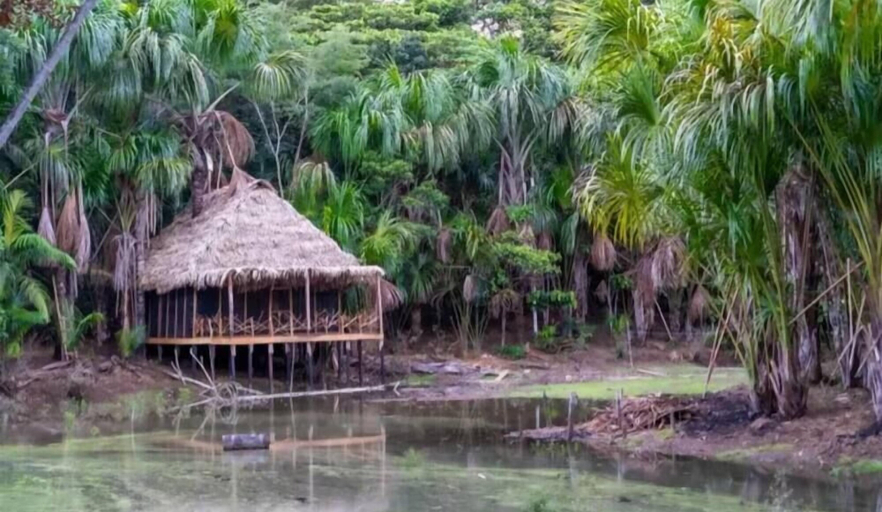 Others 2, Awaken Yoga Eco Resort in Amazon jungle, Maynas