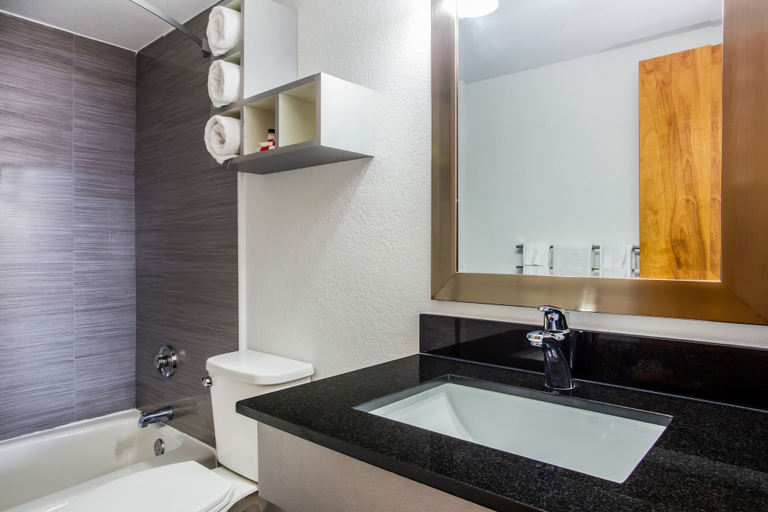 Bathroom 3, Arya Blu Inn & Suites, Volusia