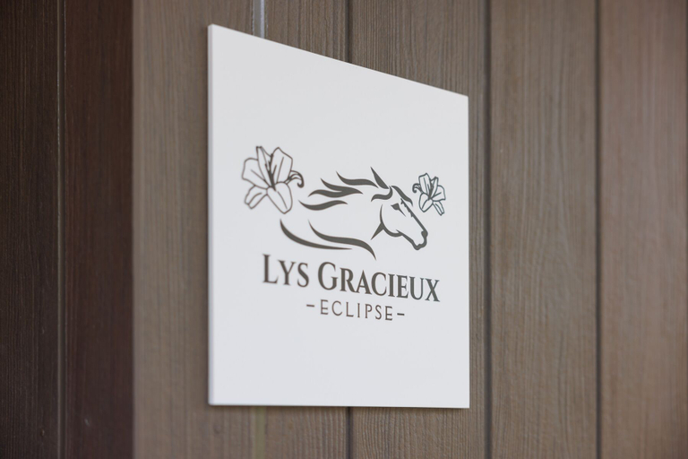 Others 5, LYS GRACIEUX【Ezo Fuji hoothills】, Makkari