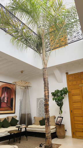 Exterior & Views 2, Riad Olika, Marrakech