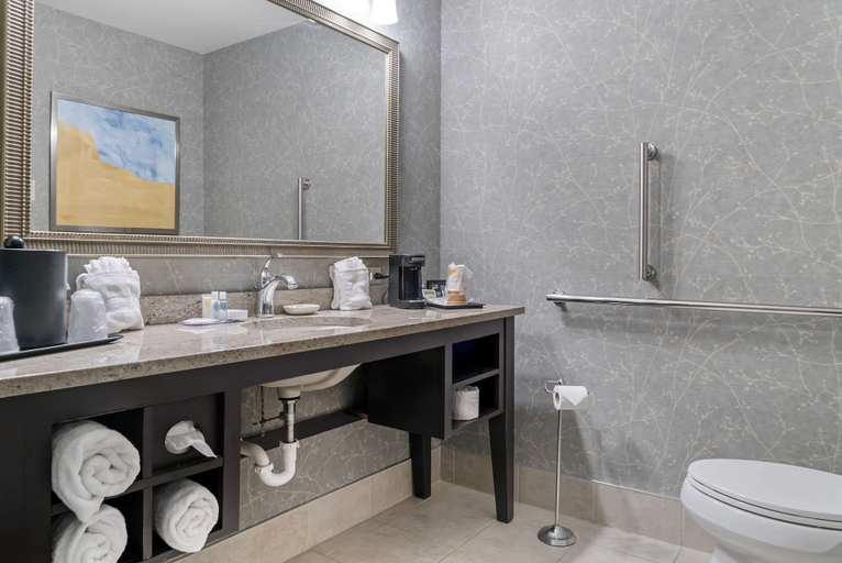 Bathroom 3, Comfort Inn Plainwell, MI, Allegan