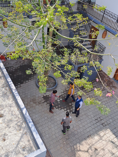 Others 4, Choco Hostel, San Andrés Cholula