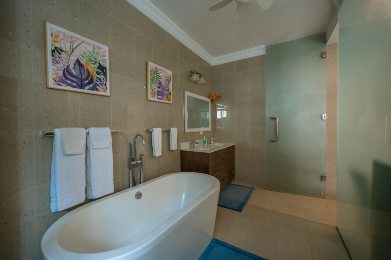 Bathroom 3, Destiny