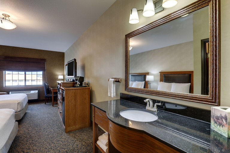 Bathroom 4, Stoney Creek Hotel Sioux City, Woodbury