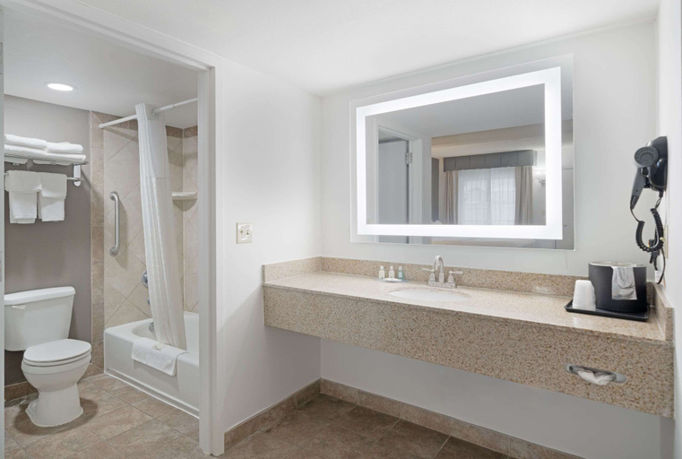Bathroom 4, Quality Inn Idaho Falls, Bonneville