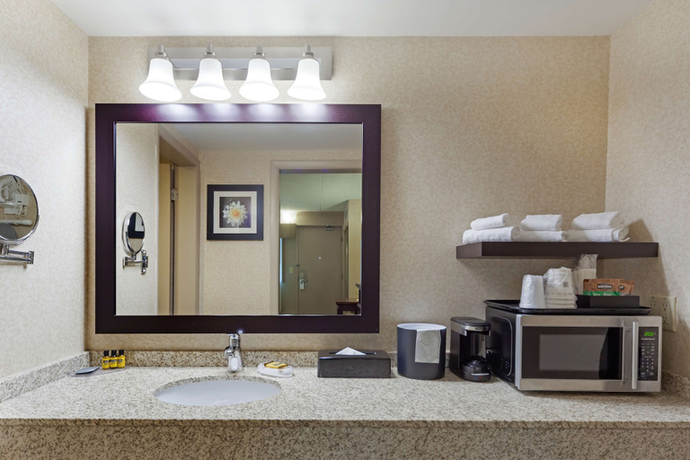 Bathroom 4, Best Western Plus City Centre Inn, Division No. 11