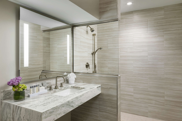 Bathroom 5, Hilton Boston Park Plaza, Boston